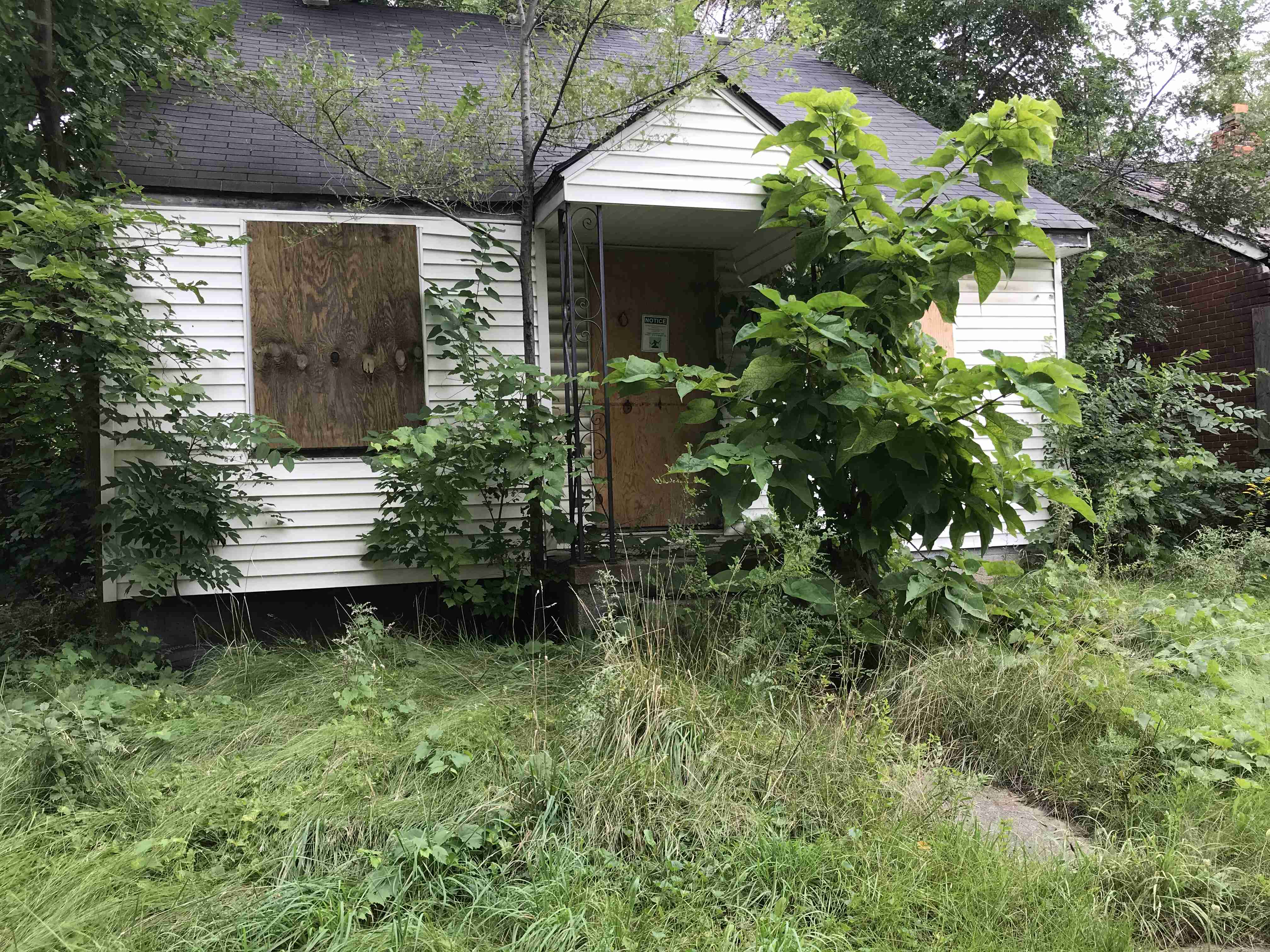 Photo Sep 10, 3 01 17 PM.jpg